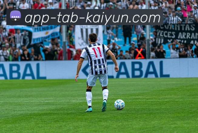 开云APP发展历程